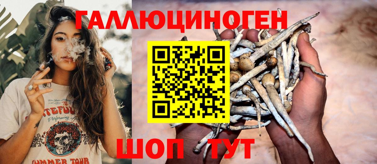 Ейск  Псилоцибиновые грибы GOLDEN TEACHER  Вход с VPN 